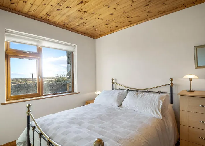 Rugosa, * באליקונילי