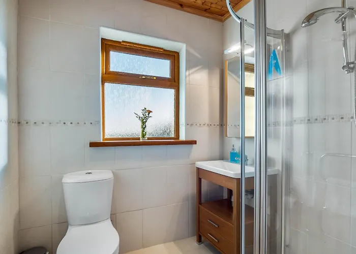 Rugosa, באליקונילי