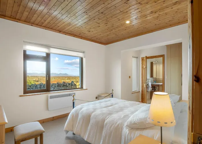 Rugosa, Дом отдыха Балликоннили