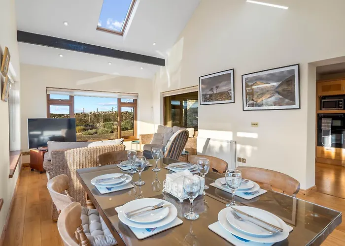 Rugosa, באליקונילי