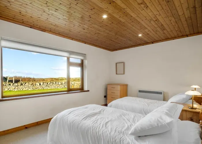 Rugosa, באליקונילי