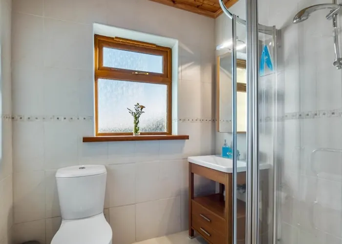 Rugosa, Балликоннили